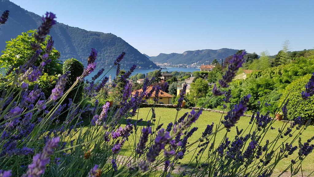 La Finestra Sul Lago Cernobbio Zewnętrze zdjęcie